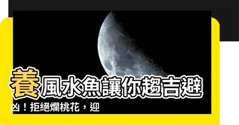 風水魚推薦|【風水魚種類】讓住家運勢旺旺！你不可不知的十大風水魚種類